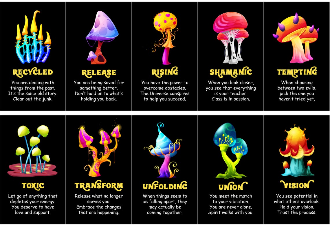 MAGIC MUSHROOM Oracle Deck Mushroom Tarot Cards Colorful Etsy