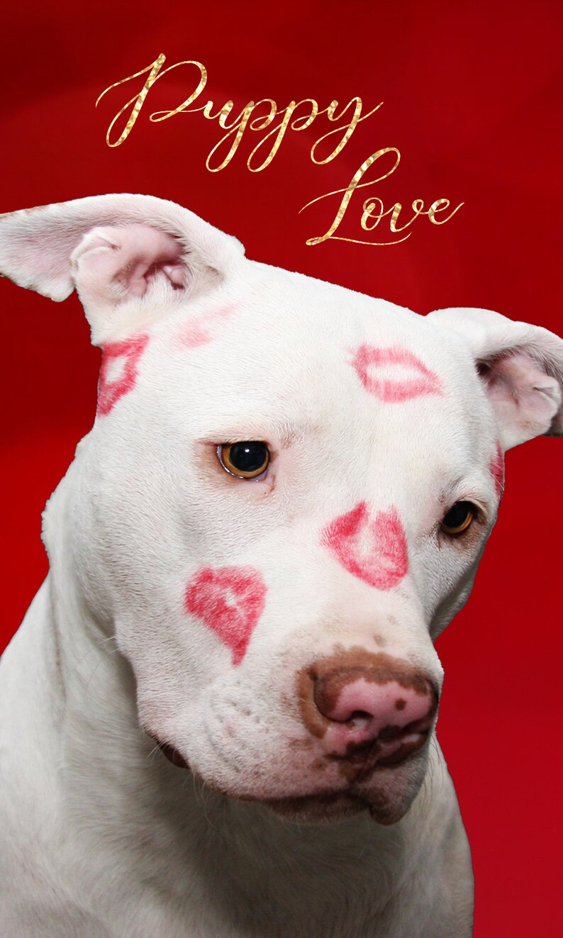 CUSTOM PREORDER: Golden Soulmates Love Oracle Deck of Romance Tarot-Sized Cards zdjęcie 9