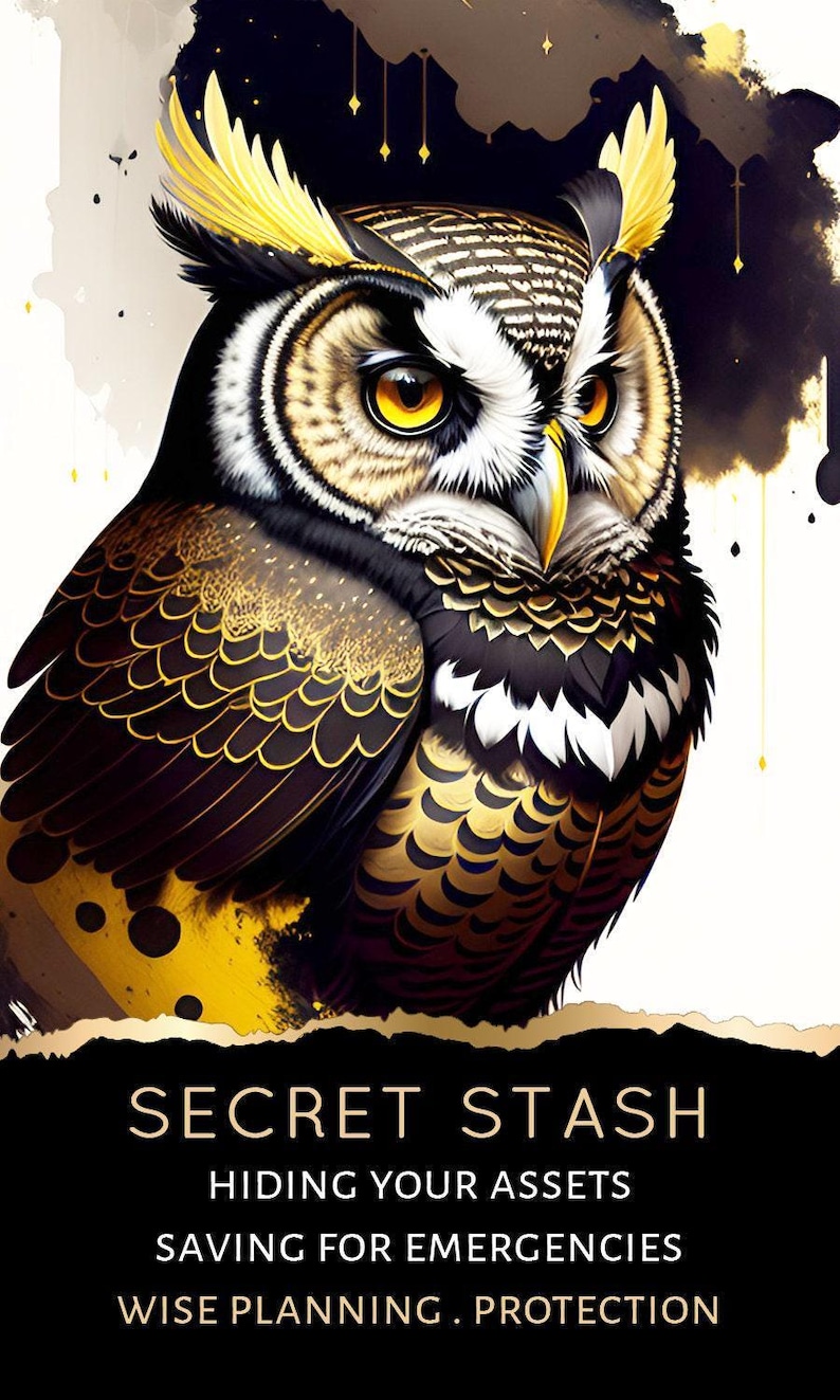 PEDIDO ANTICIPADO PERSONALIZADO: Baraja de cartas del Tarot Money Shadow Work Oracle con cartas de carrera y finanzas imagen 8