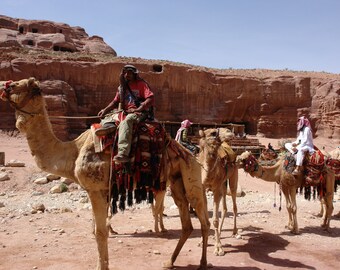 Puede incluir: Tres camellos están alineados en un paisaje desértico con un acantilado rocoso en el fondo. Los camellos están adornados con mantas y borlas de colores. Una persona está montada en cada camello.
