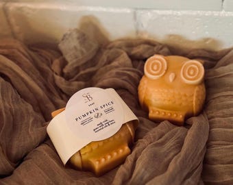 Cinna-Hoot Handmade Soap