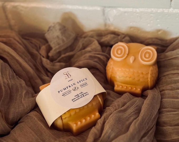 Cinna-Hoot Handmade Soap