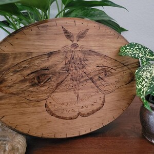 May include: A wooden oval-shaped plaque with a woodburned image of a moth. The moth is detailed with intricate wings and a fuzzy body.