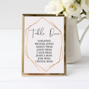 Escort Card Seating Chart, 5x7 Seating Chart Template, Clothespin Seating Arrangement, Greenery Wedding Seating Chart Cards, WC021