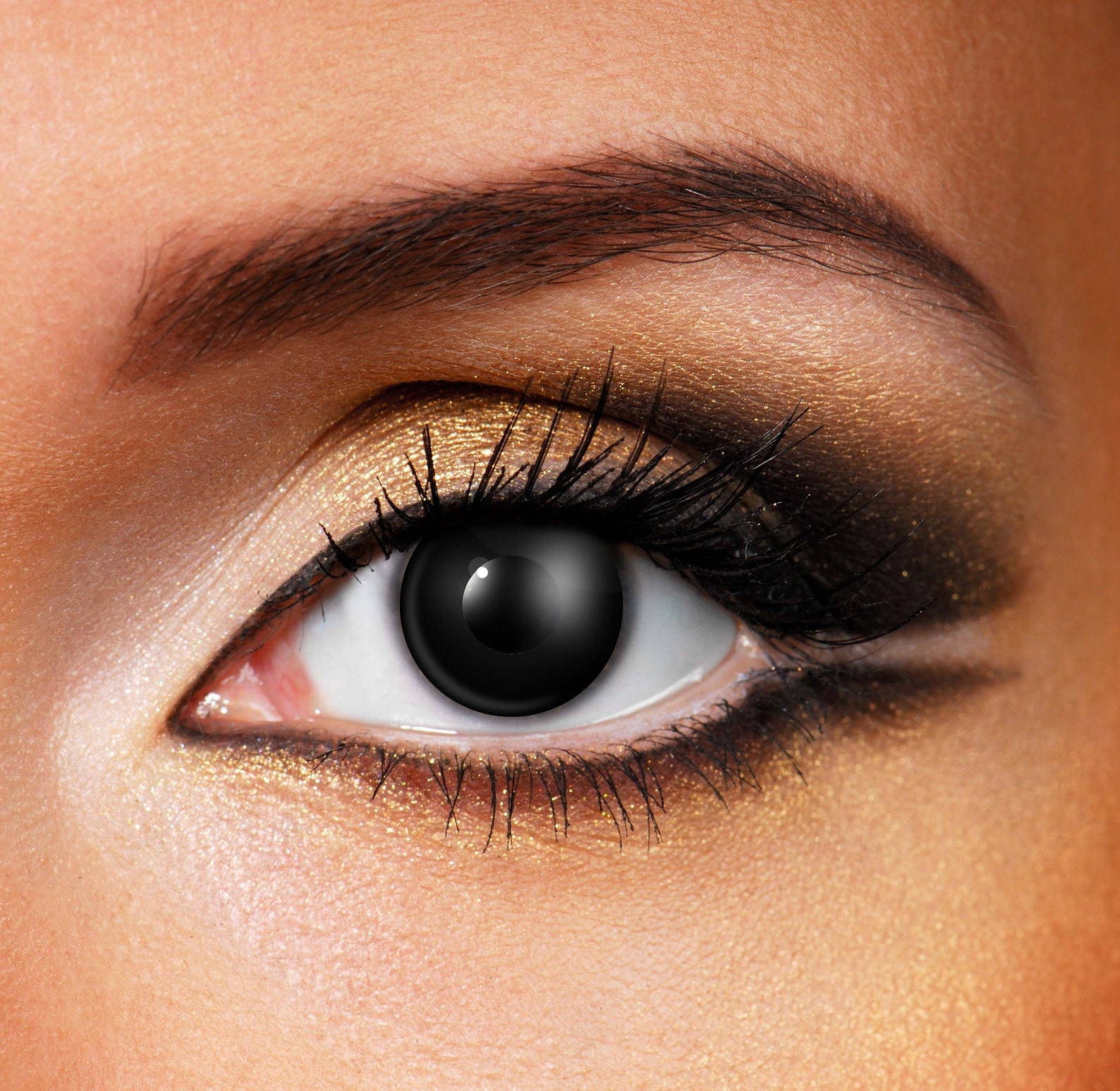 black out contacts black out contacts