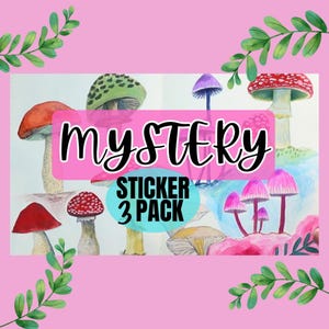 Mystery 3x STICKER Pack,  3 VINYL glossy waterproof stickers, mystery sticker pack, sticker for water bottle, mystery grab bag sticker