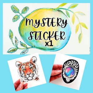 Mystery STICKER x1,  VINYL glossy waterproof sticker, sketchbook sticker, sticker for water bottle, mystery grab bag sticker