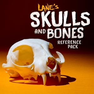 May include: A white animal skull with visible teeth and eye sockets, set against an orange background. The text "Lane's Skulls and Bones Reference Pack" is displayed in white and yellow.