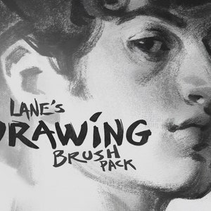 以下が含まれることがあります： 白黒の顔のイラストで、下に「LANE'S DRAWING BRUSH PACK」というテキストがあります。