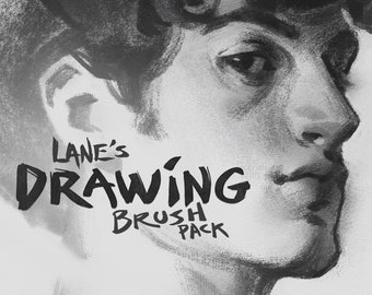 Lane's Drawing Brush Pack : Photoshop || Digital Drawing Brushes & Tools - Charcoal - Pastel - Pencil - Texture - Illustration - Portraits