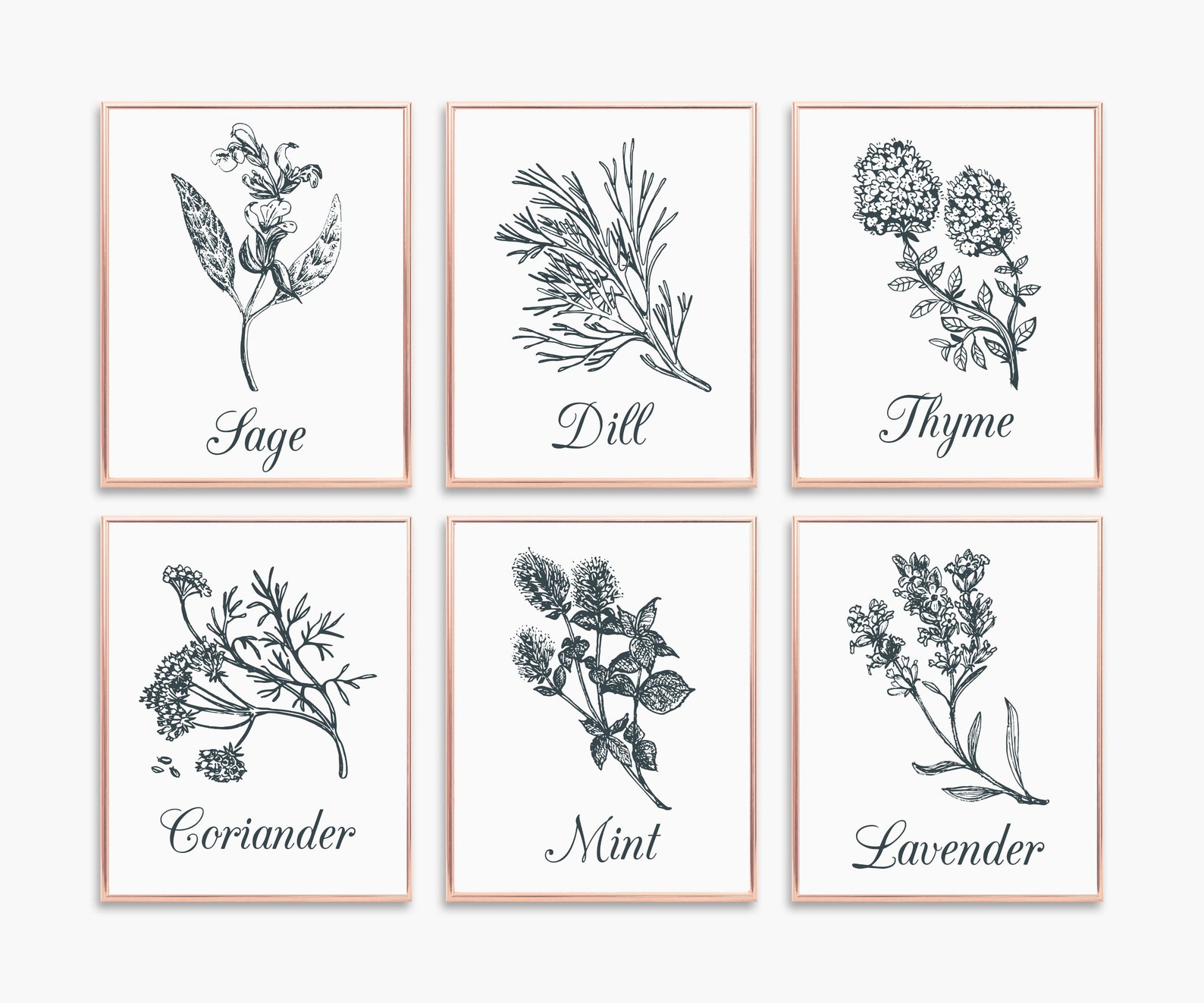 botanical herb prints set of 4 unframed botanical herb... Herb Prints Set: Botanical Kitchen Wall Art (digital Download) - Etsy