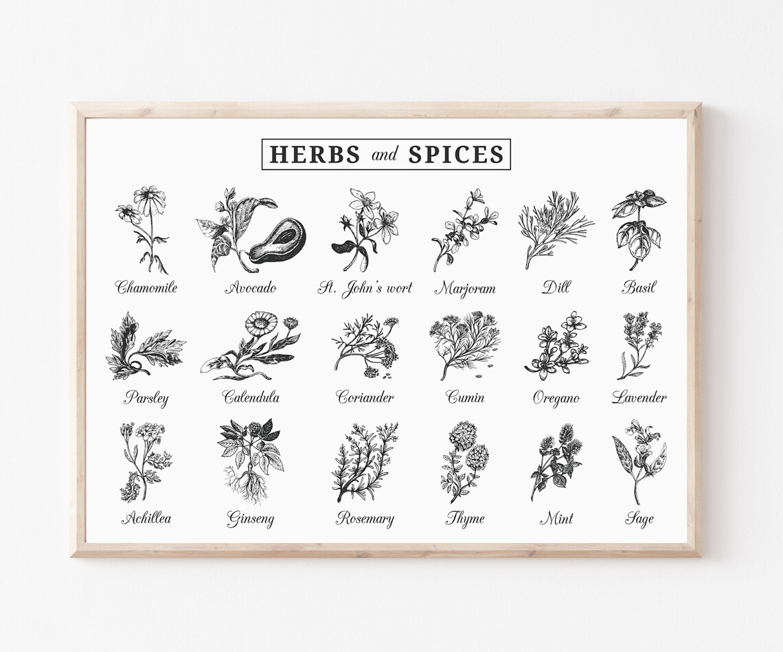 Herbs and Spices Kitchen Poster Kitchen Wall Art Wall Art Etsy