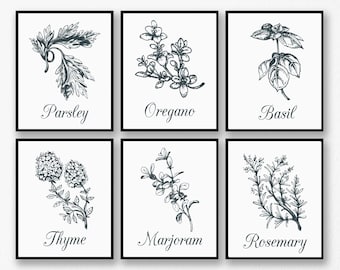 Herb Prints Set: Botanical Kitchen Wall Art (Digital Download)