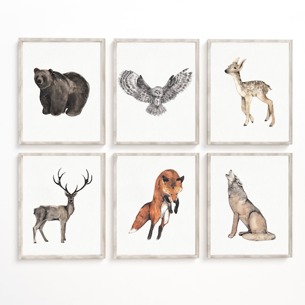 Forest Animal Prints Etsy