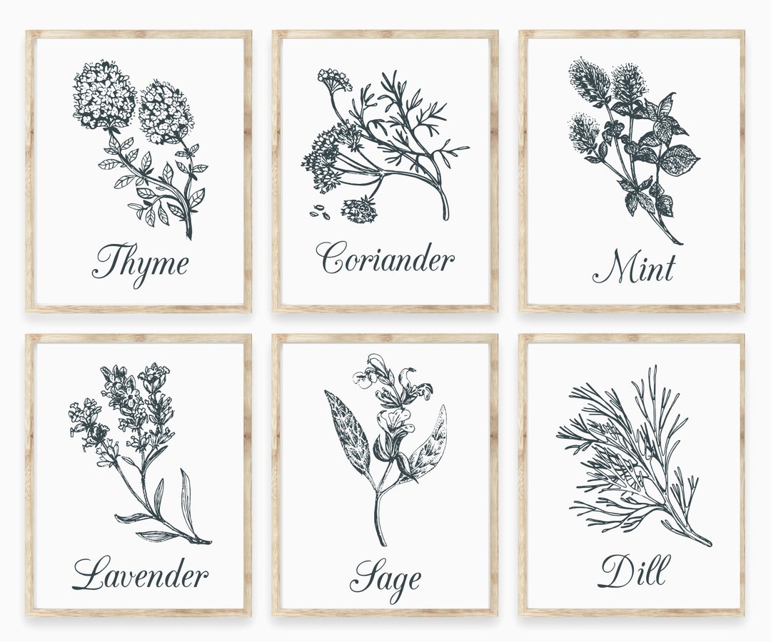 Herb Prints Set: Botanical Kitchen Wall Art (digital Download) - Etsy