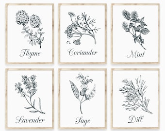 Herb Prints Set: Botanical Kitchen Wall Art (Digital Download)