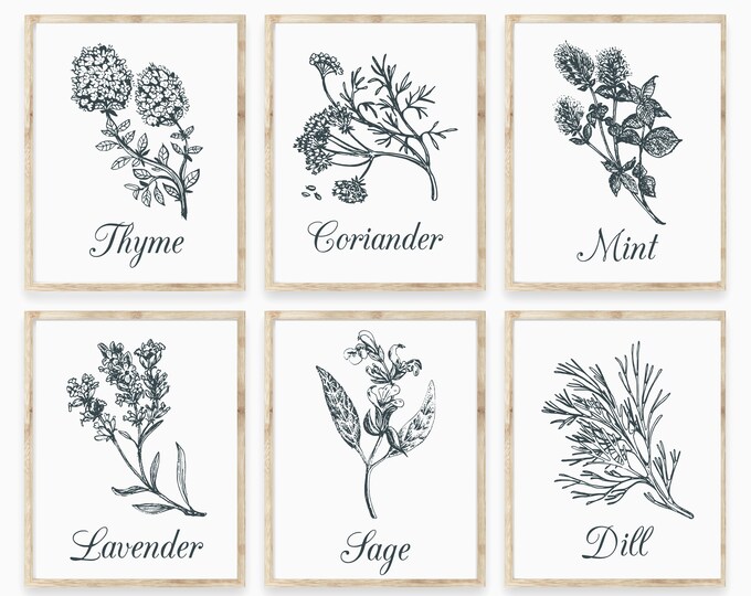 Set of 6 Herb Prints, Kitchen Printable Art, Botanical Print, Kitchen ...