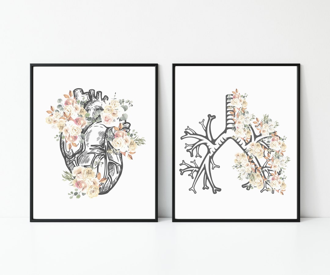 Floral Anatomy Print Set: Heart & Lungs Medical Art (digital Download ...