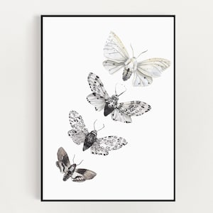 Butterfly Wall Art - Black and White Print - Vintage Wall Art - Butterflies Print - Moth Wall Decor - Farmhouse Decor - Digital DOWNLOAD