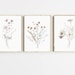 Set of 3 Wildflower Prints - Floral Instant Art - Printable Art - Line art - Floral Wall Art - Botanical Print - INSTANT DOWNLOAD - Flower 