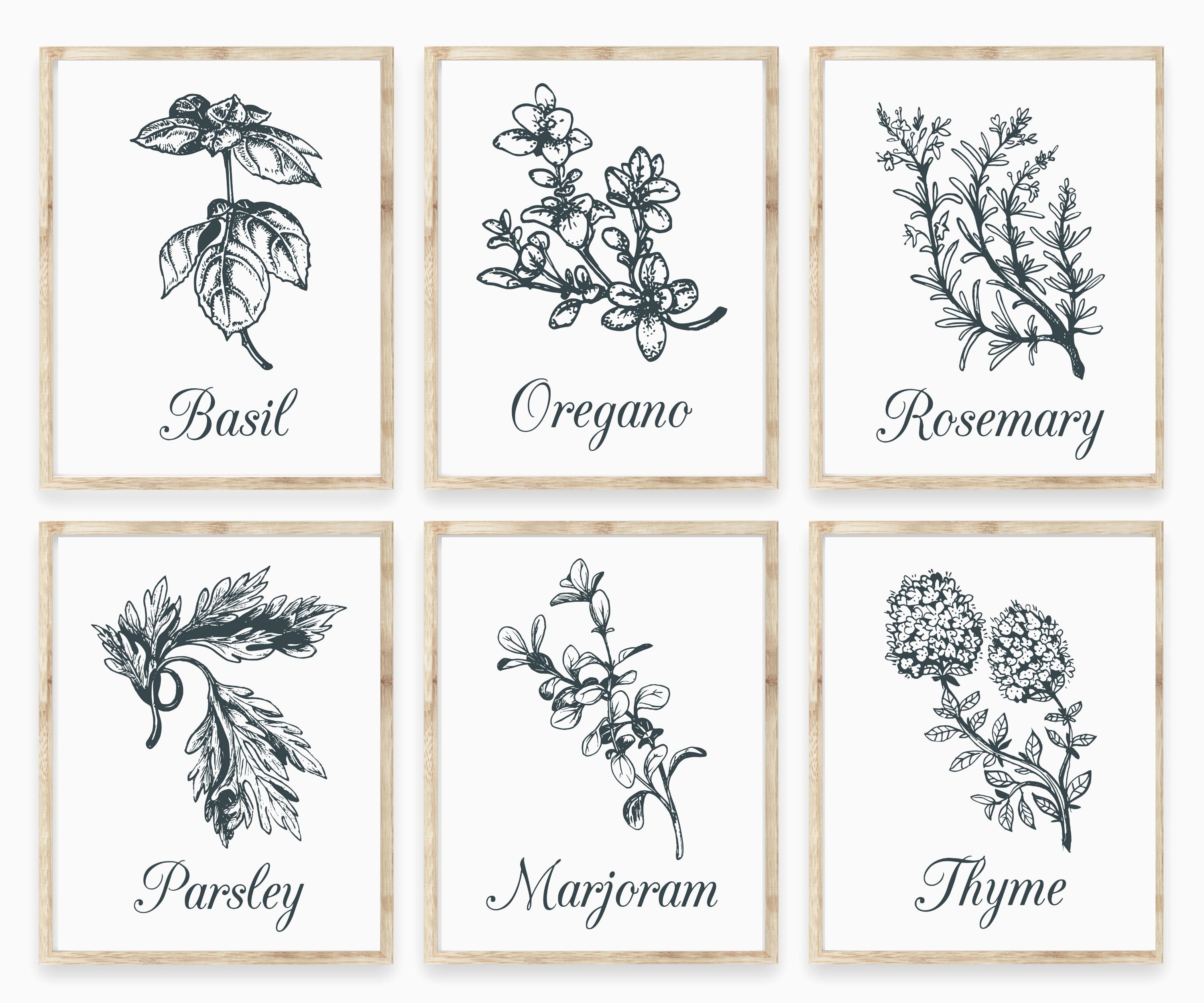Set of 6 Herb Prints Kitchen Printable Art Botanical Print Etsy