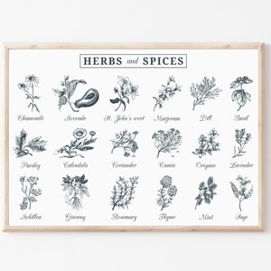 Kräuter und Gewürze Küche Poster, Küche Wandkunst, Wand Kunstdruck, druckbare Wandkunst, Küche Dekor, Esszimmer Dekor, botanische Druck