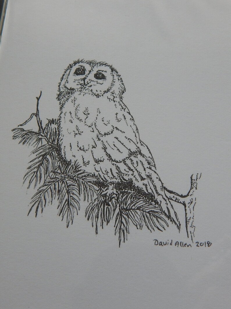 Wild Bird Note Cards