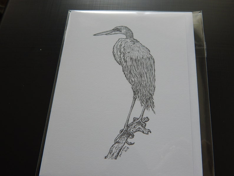 Wild Bird Note Cards