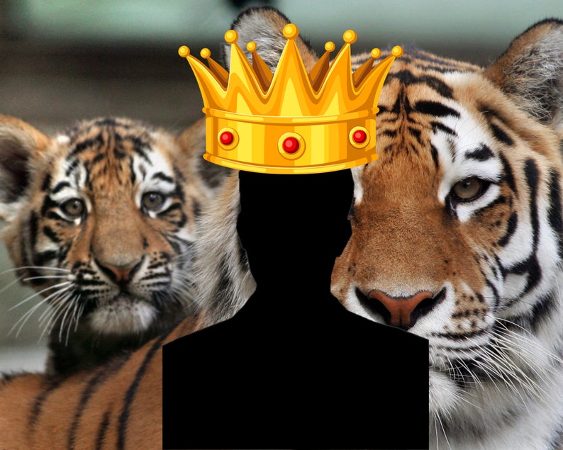 Zoom Virtual Backgrounds Tiger King Pack Etsy