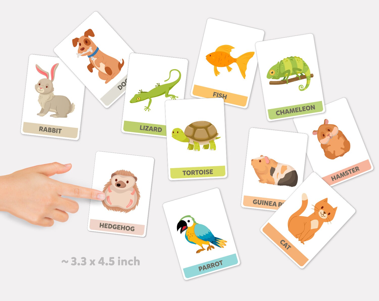 Pet Animals Flashcards Pets Flashcards Printable Animals Flash Etsy
