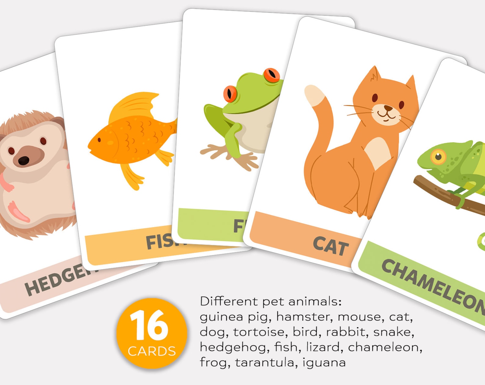 Pet Animals Flashcards Pets Flashcards Printable Animals Flash Etsy