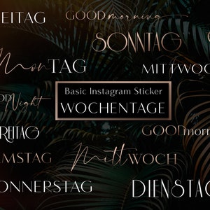 80+ Instagram Story Stickers rose gold Weekdays Vol. 2 XXL | Basic | daily | starter | Weekdays, modern, font, Words, German