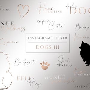 Könnte beinhalten: Ein Set mit 12 roségoldenen und schwarzen Instagram-Stickern für Hundehalter. Die Sticker zeigen Sätze wie "Fohnen", "Hunde Wellness", "Badezeit", "Soul Mates" und "Essens Zeit".