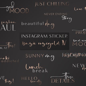 Instagram Story Sticker Basics rosegold IV | Basic | daily | starter | Weekdays , modern , Font , Words , English Summer