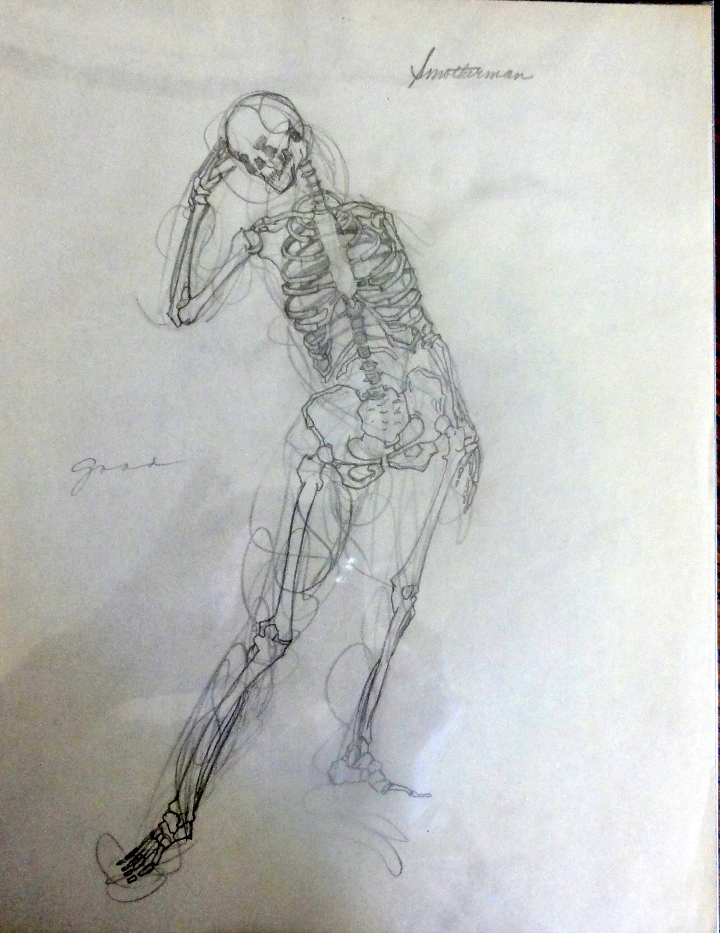  Pencil drawing Skeleton in scribble art on paper class study Etsy