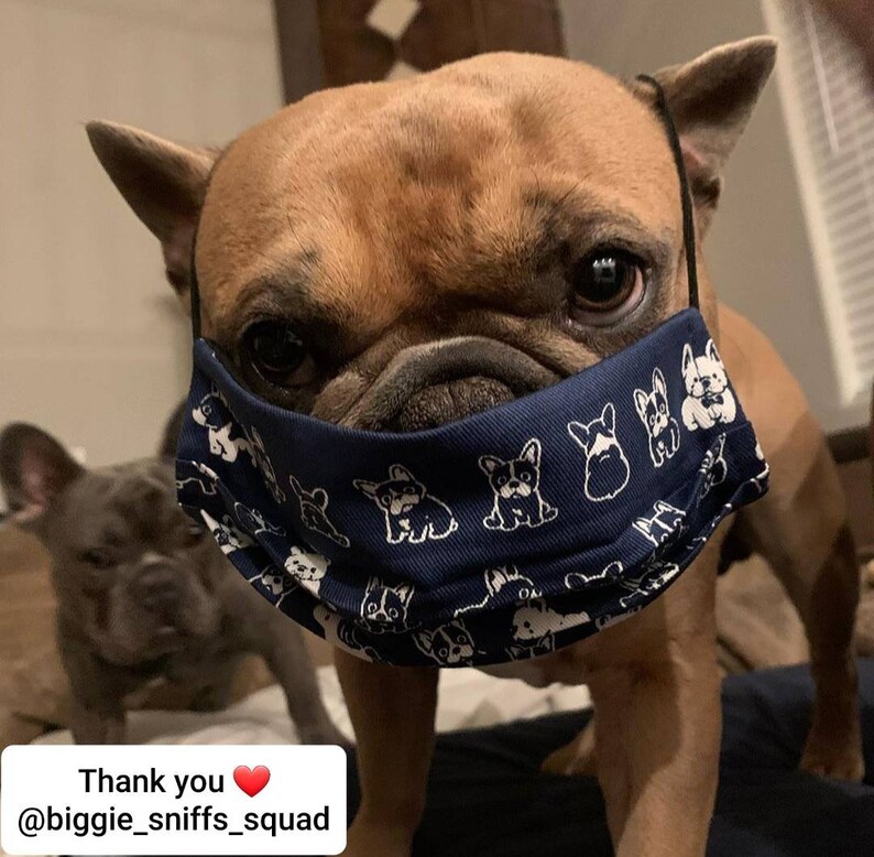 French Bulldog Frenchie Puppy Face Mask Disposable Filter Etsy