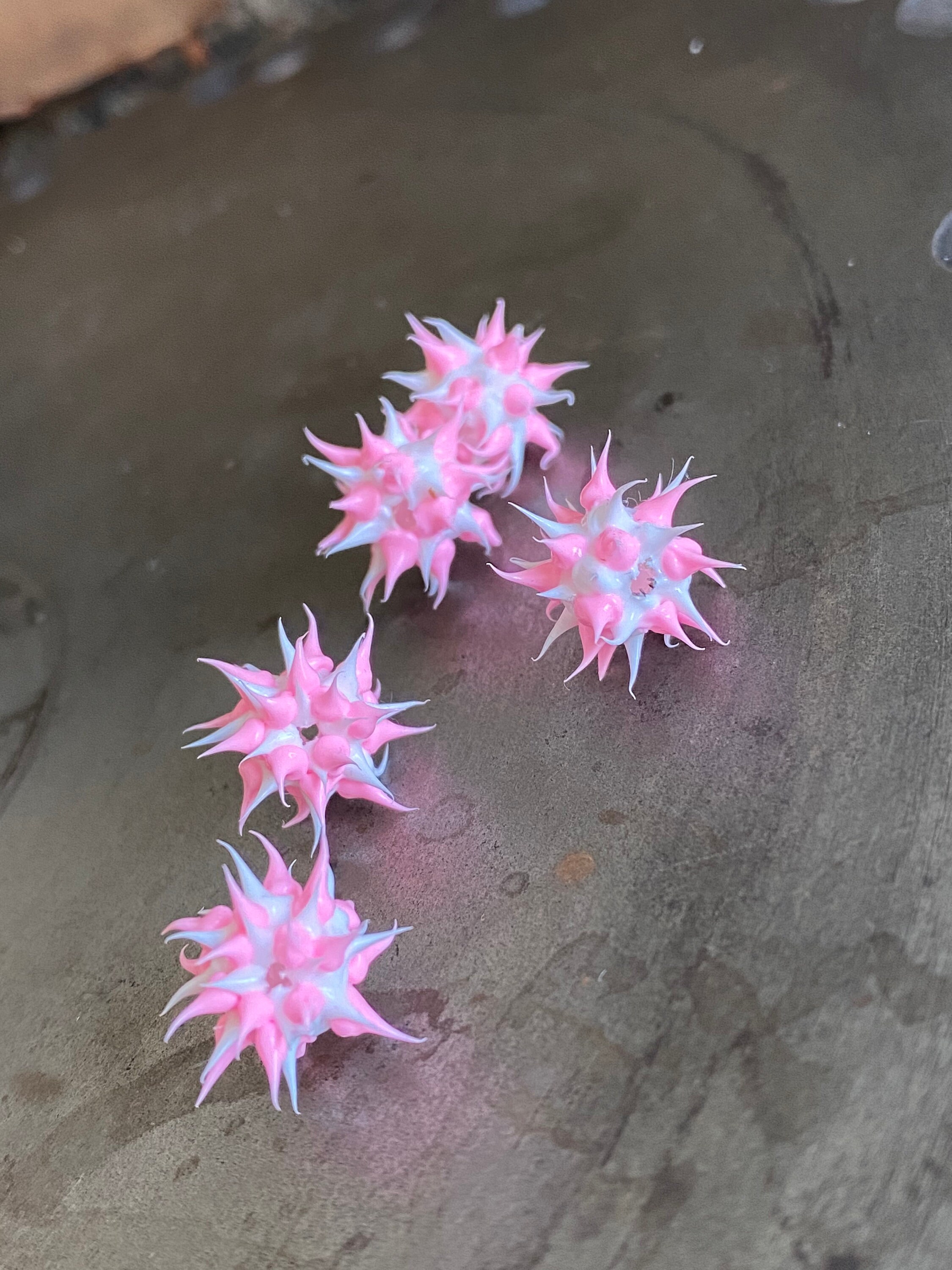 Spiky Silicone Beads Silicone Beads Spiky Beads Fun Beads Etsy