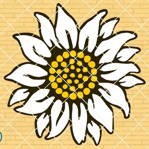 Daisy Svg Flower Svg Daisy flower Svg Sunflower Svg Daisy decal Svg Daisy png Floral Svg Wedding flower Svg Daisy clipart Daisy sublimation