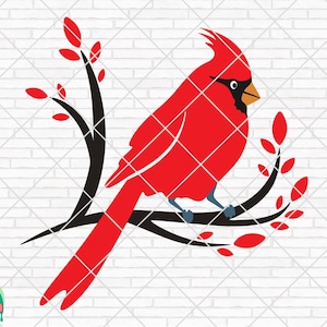Cardinal Bird SVG, Cardinal Svg, Memorial Svg, Winter Svg, Cardinal on Branch SVG, Christmas Cut Files, Cricut, Silhouette, PNG