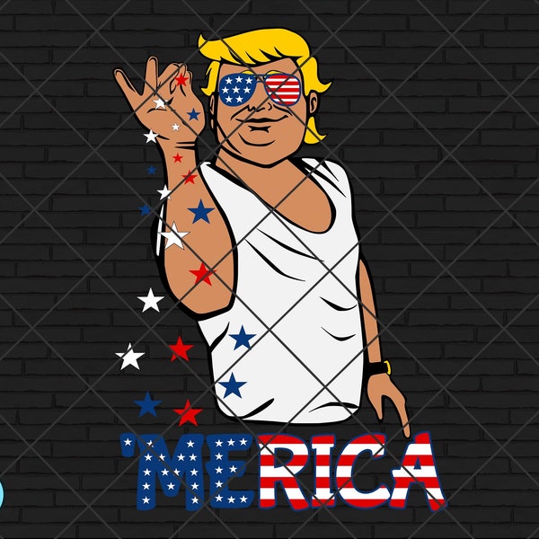 how much will the trump 4th of july cost