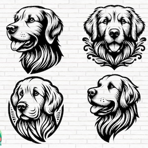 Golden Retriever testa SVG, cane svg, pacchetto cane svg, Golden Retriever png, testa di cane svg, vettore Golden Retriever, file di taglio, Cricut