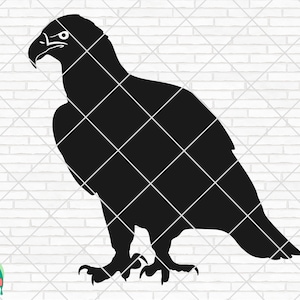 American Eagle SVG, Eagle svg, Eagle Head svg, Eagle Vector, Eagle PNG, Eagle svg Shirt, Eagle Clipart, Cut File, Cricut, Silhouette