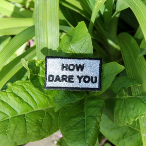 May include: A silver glitter iron-on patch with black text that reads "HOW DARE YOU" on a green leafy background.