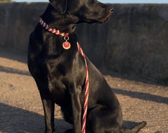 Paracord 4ft dog lead multifunctional design your own dog lead colourful dog lead matching set matching dog collar and bracelet available