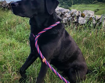 Paracord slip lead dog lead design your own slip lead colourful dog lead matching set matching dog collar and bracelet available dog leash