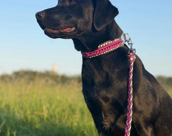 The Summit Set Chunky Dog collar and matching lead paracord dog collar thick dog collar and lead design handbraided collar multiway lead