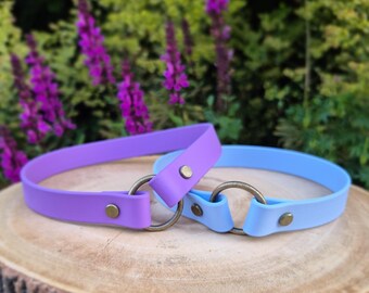 Custom Biothane Dog House Collar Lightweight waterproof Pet ID Tag Collar house collar indoor collar tag collar
