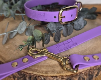 Adjustable waterproof Dog collar and lead set BioThane dog collar custom dog leash design your own dog collar easy to clean dog collar lead