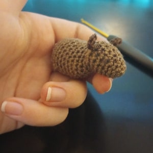 May include: A small brown crocheted animal, possibly a mouse or a squirrel, is held in a person's hand. The animal has a long, pointed nose and small, rounded ears.