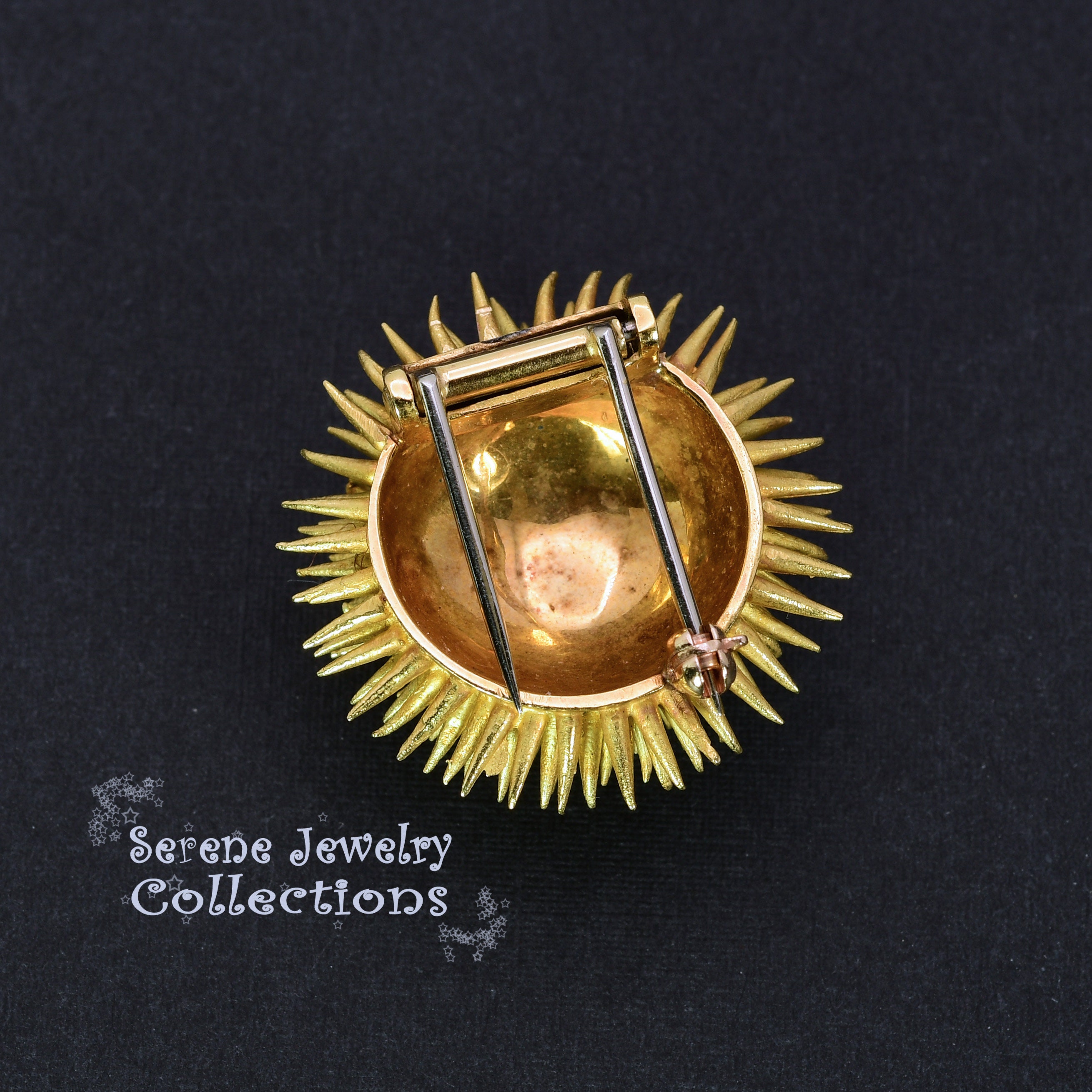 Tiffany & Co Diamond Sapphire 18k Solid Gold Sea Urchin Brooch